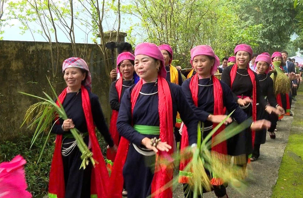 Có hẹn với mùa cốm nơi vùng cao Hợp Thành - ảnh 2