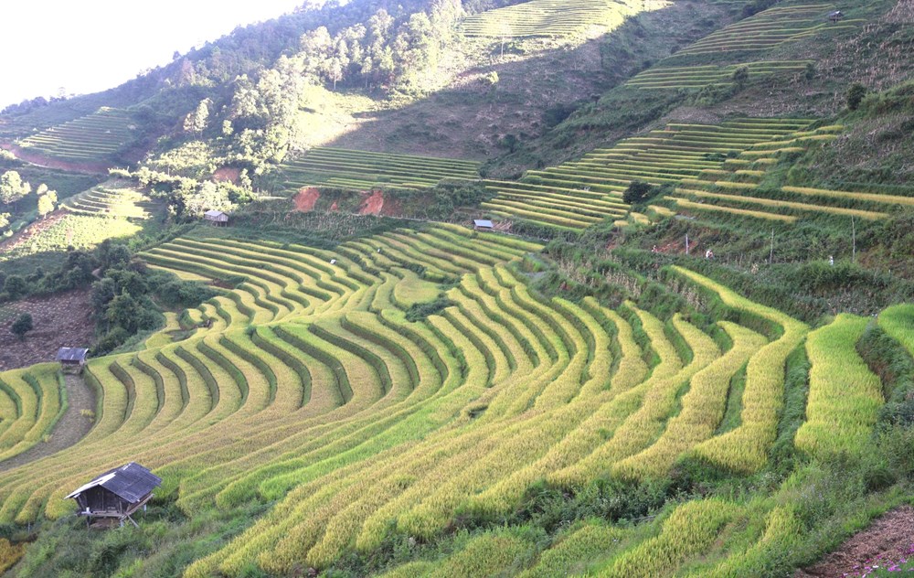 Phát triển du lịch Mù Cang Chải gắn với bảo tồn văn hóa, cảnh quan - ảnh 2