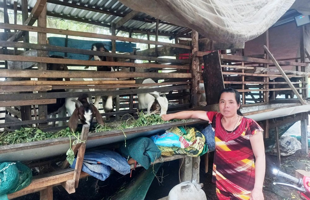 Gương phụ nữ khởi nghiệp từ mô hình nuôi dê sinh sản và thương phẩm - ảnh 1