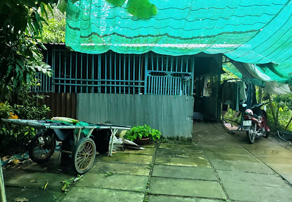 Ước mơ của cô sinh viên nghèo ở cù lao Ông Hổ - ảnh 1