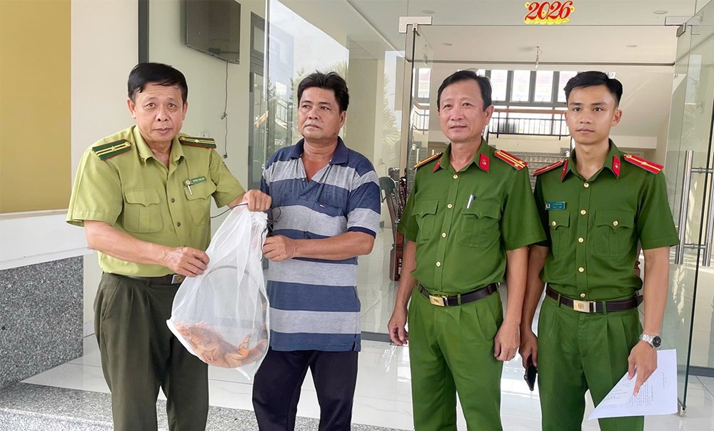 Người dân An Giang tự nguyện giao nộp rùa đất lớn và Rồng Nam Mỹ - ảnh 2