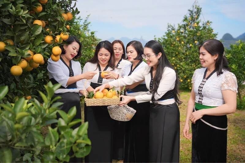 Mường Cơi kết nối văn hóa, nông nghiệp với phát triển du lịch - ảnh 8