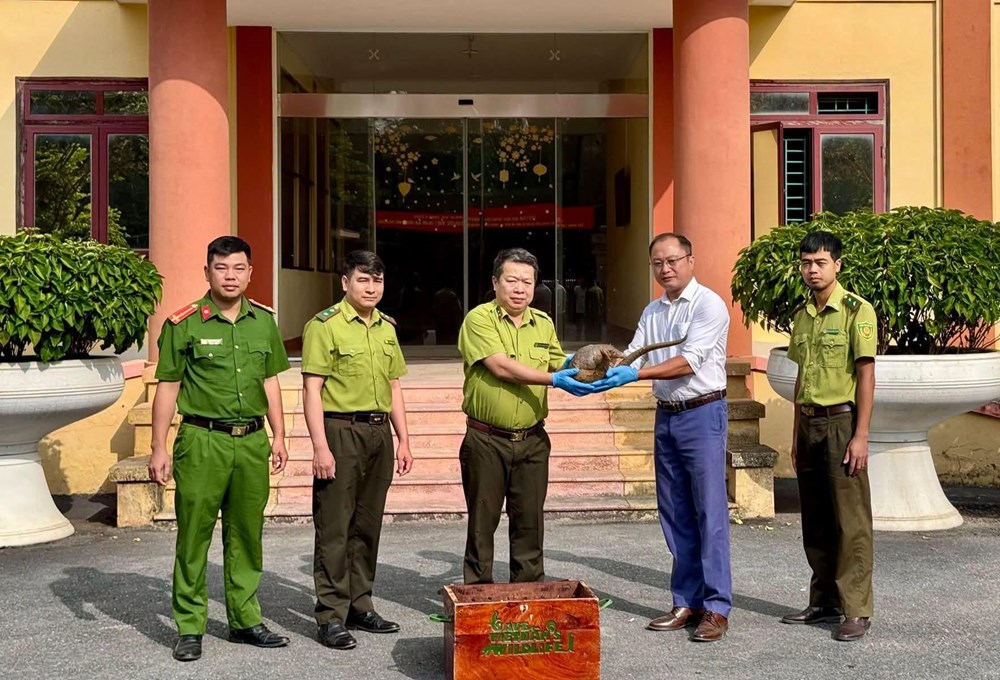 Bàn giao cá thể tê tê Java quý hiếm cho Vườn quốc gia Cúc Phương - ảnh 1
