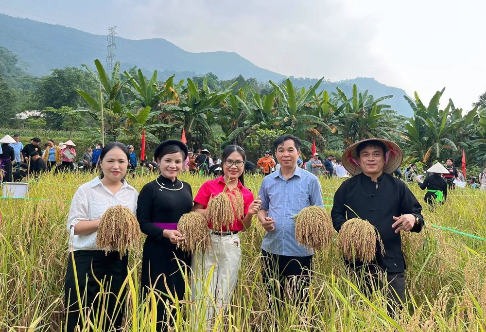 Về Bắc Mê khám phá nét đẹp lao động qua hội thi cắt lúa nếp, giã bánh giầy - ảnh 5