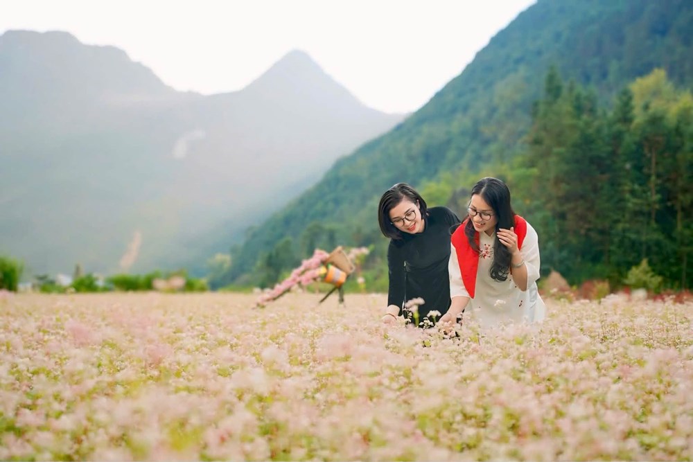 Phố Bảng - điểm hẹn mùa hoa Tam giác mạch - ảnh 5