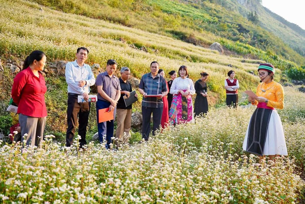 Phố Bảng - điểm hẹn mùa hoa Tam giác mạch - ảnh 1