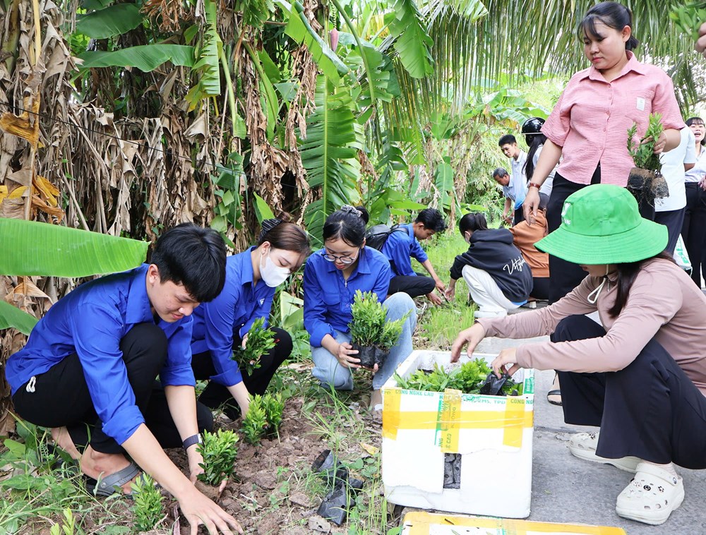 Châu Thành ra mắt mô hình “Ấp không ma túy” - ảnh 3