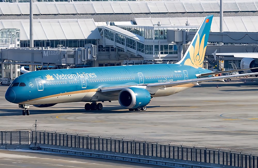 Máy bay của Vietnam Airlines chuyển hướng, hạ cánh tại Thổ Nhĩ Kỳ cấp cứu hành khách Việt Nam - ảnh 1