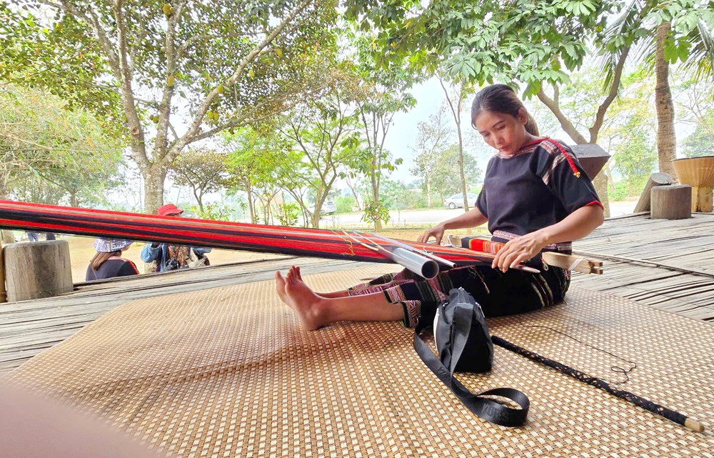 Gắn kết mỗi gia đình nhỏ với đại gia đình “Ngôi nhà chung” - ảnh 4