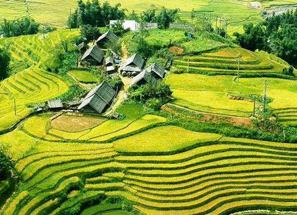 Kết nối du lịch xanh để cân bằng phát triển kinh tế với bảo vệ môi trường - ảnh 3