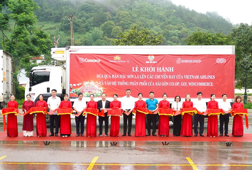 Quảng bá nông sản Tây Bắc trên các chuyến bay - ảnh 1