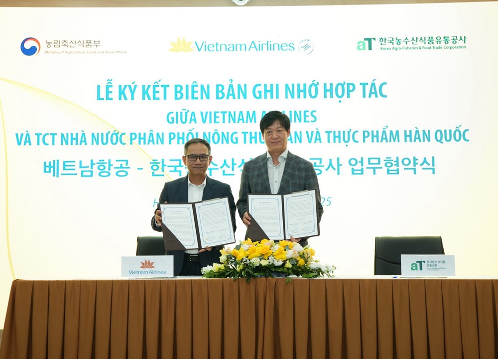 Thưởng thức ẩm thực Hàn Quốc trên chuyến bay Việt Nam - ảnh 1