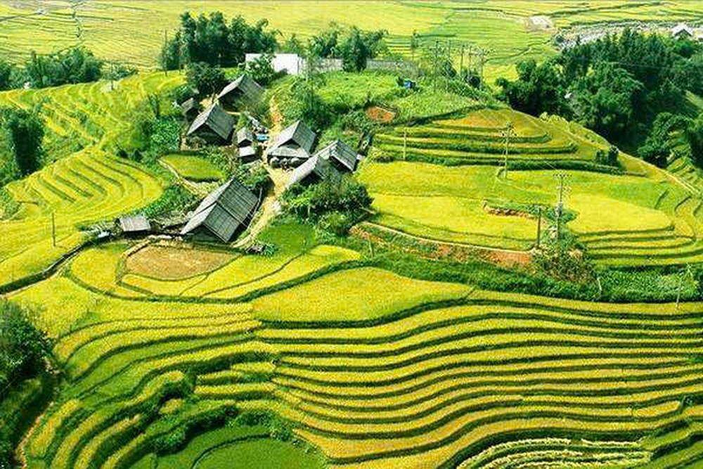 Hoàn thành và vượt 6 nhóm mục tiêu - ảnh 1