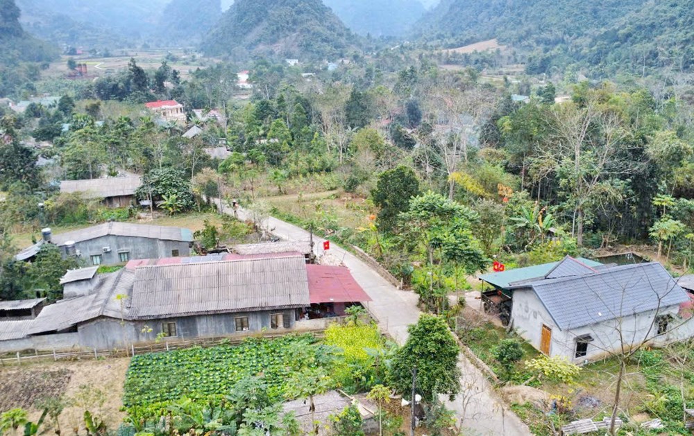 Đời sống của đồng bào dân tộc thiểu số rất ít người đã được cải thiện rõ rệt - ảnh 1