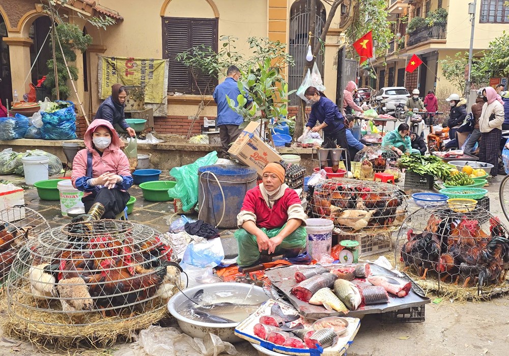 Hà Nội: Xóa chợ cóc và hơn 700 điểm giết mổ gia súc, gia cầm nhỏ lẻ - ảnh 1