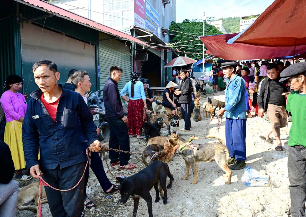 Chợ phiên Đồng Văn - Nơi lưu giữ văn hóa truyền thống vùng cao nguyên đá - ảnh 15