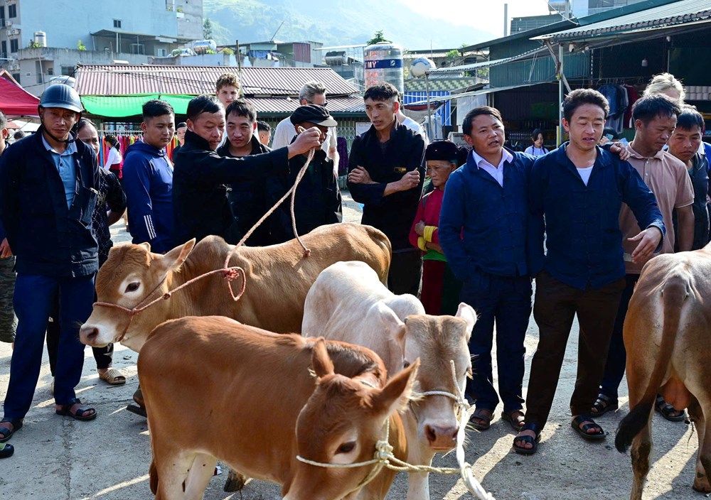 Chợ phiên Đồng Văn - Nơi lưu giữ văn hóa truyền thống vùng cao nguyên đá - ảnh 14
