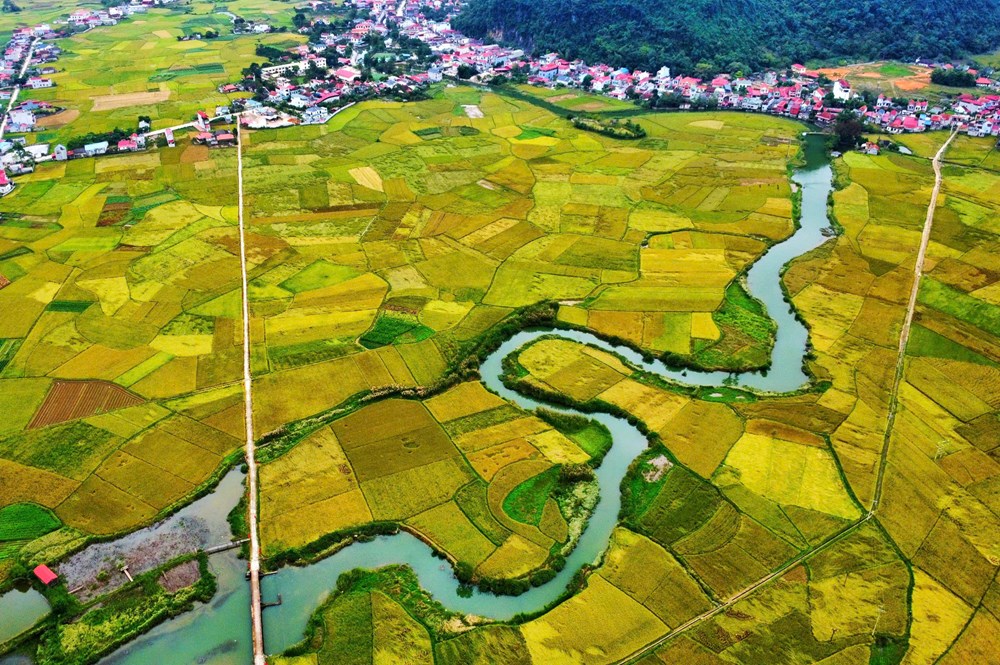 Vinh danh Làng du lịch cộng đồng Quỳnh Sơn - ảnh 3