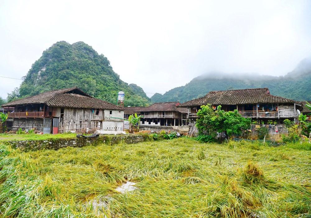 Vinh danh Làng du lịch cộng đồng Quỳnh Sơn - ảnh 4