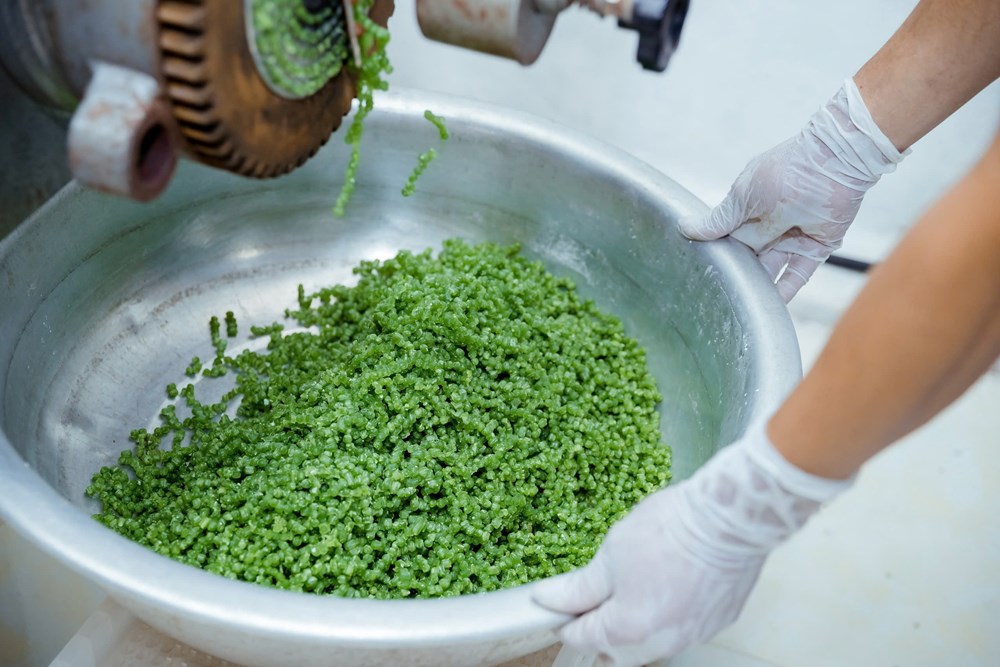 Từ nông sản thừa đến sản phẩm xanh đạt chuẩn OCOP 5 sao quốc gia - ảnh 4