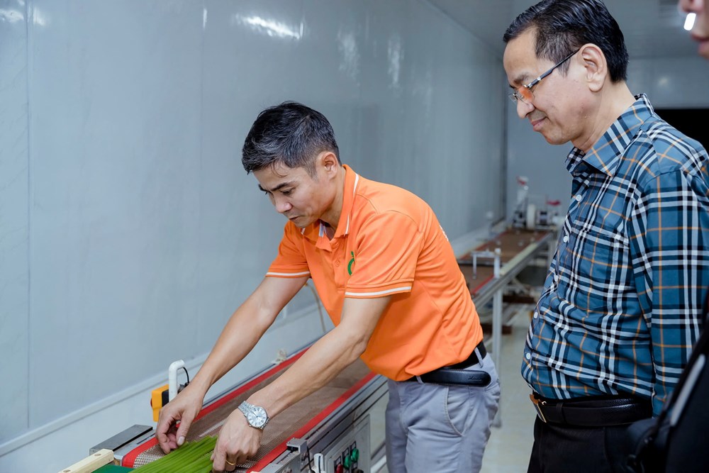 Từ nông sản thừa đến sản phẩm xanh đạt chuẩn OCOP 5 sao quốc gia - ảnh 11