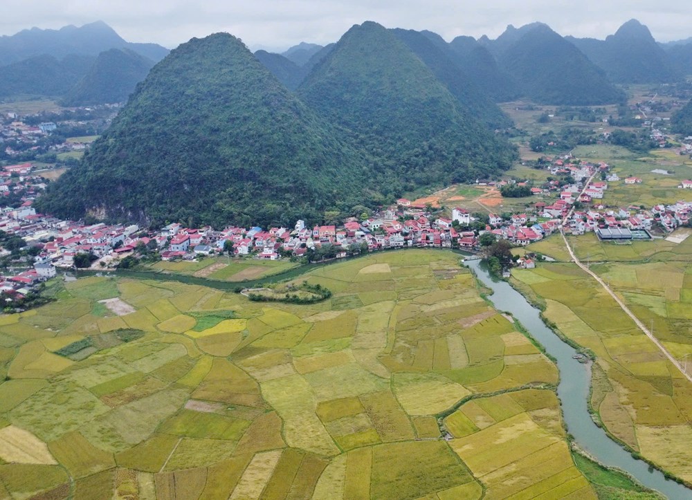 Lên Bắc Sơn xem người Tày gặt lúa, giã gạo bằng công cụ thô sơ - ảnh 1