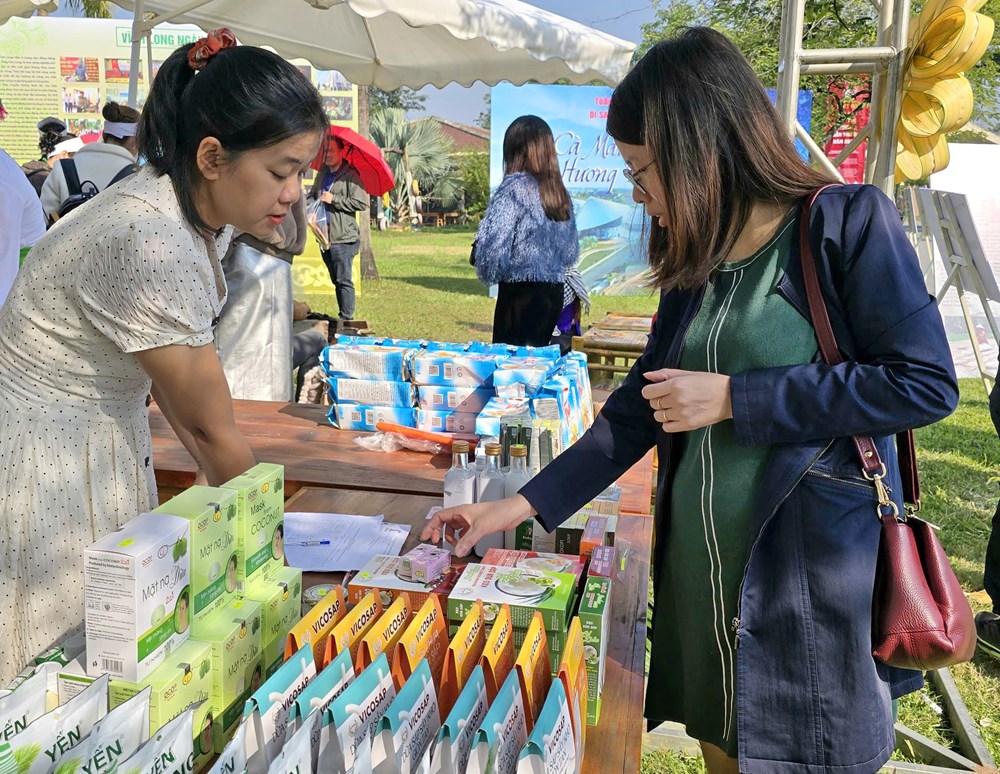 Âm sắc và tinh hoa di sản Nam Bộ tại Tuần Đại đoàn kết các dân tộc  - ảnh 16