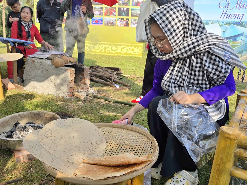 Âm sắc và tinh hoa di sản Nam Bộ tại Tuần Đại đoàn kết các dân tộc  - ảnh 5