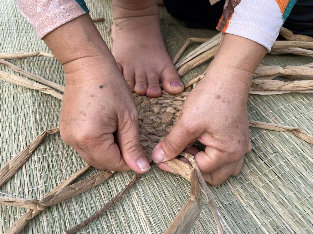 Âm sắc và tinh hoa di sản Nam Bộ tại Tuần Đại đoàn kết các dân tộc  - ảnh 13