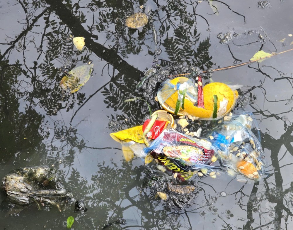 Hà Nội: 17 năm chịu đựng ô nhiễm khi sống cạnh mương Kẻ Khế - ảnh 6