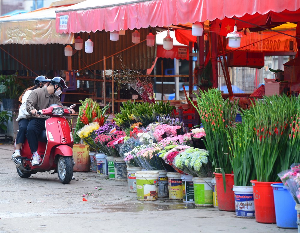 Người Hà Nội “chơi Tết sớm” với hoa mộc lan - ảnh 11