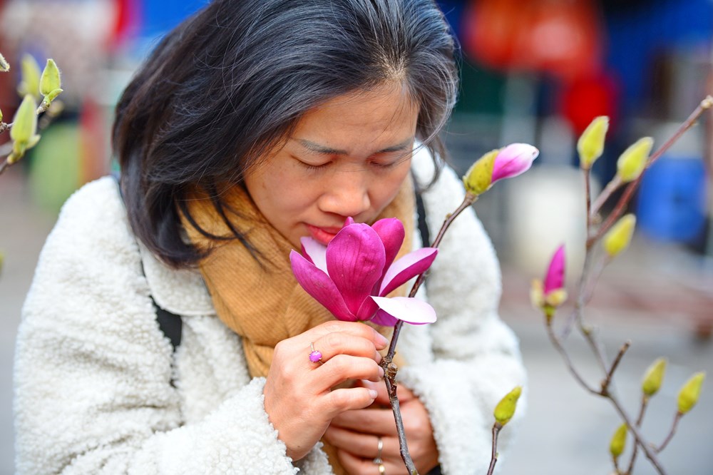 Người Hà Nội “chơi Tết sớm” với hoa mộc lan - ảnh 5