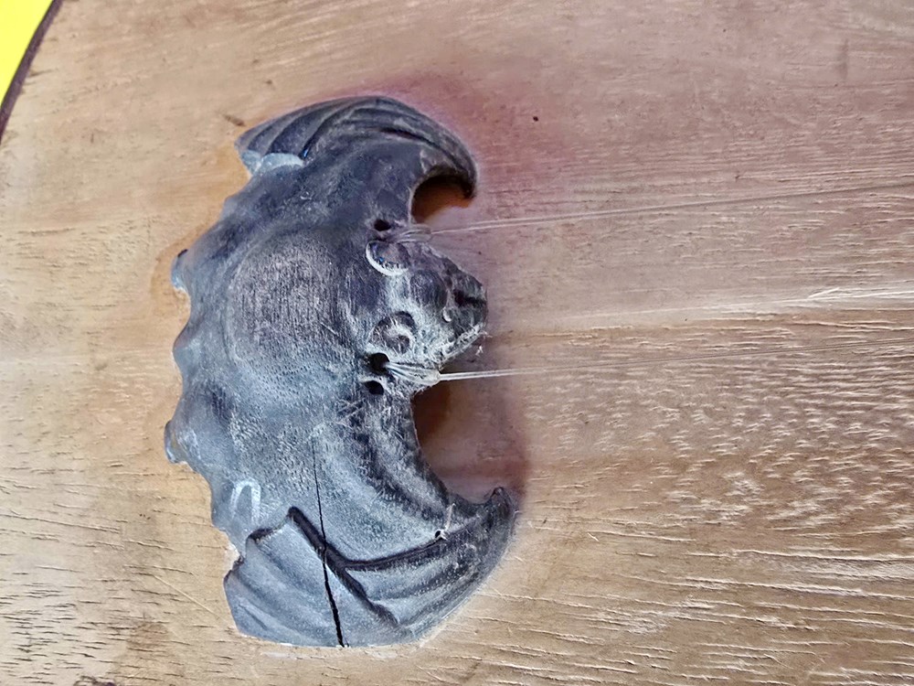 Bộ sưu tập vật phẩm độc nhất vô nhị trong nghi lễ hầu đồng - ảnh 8