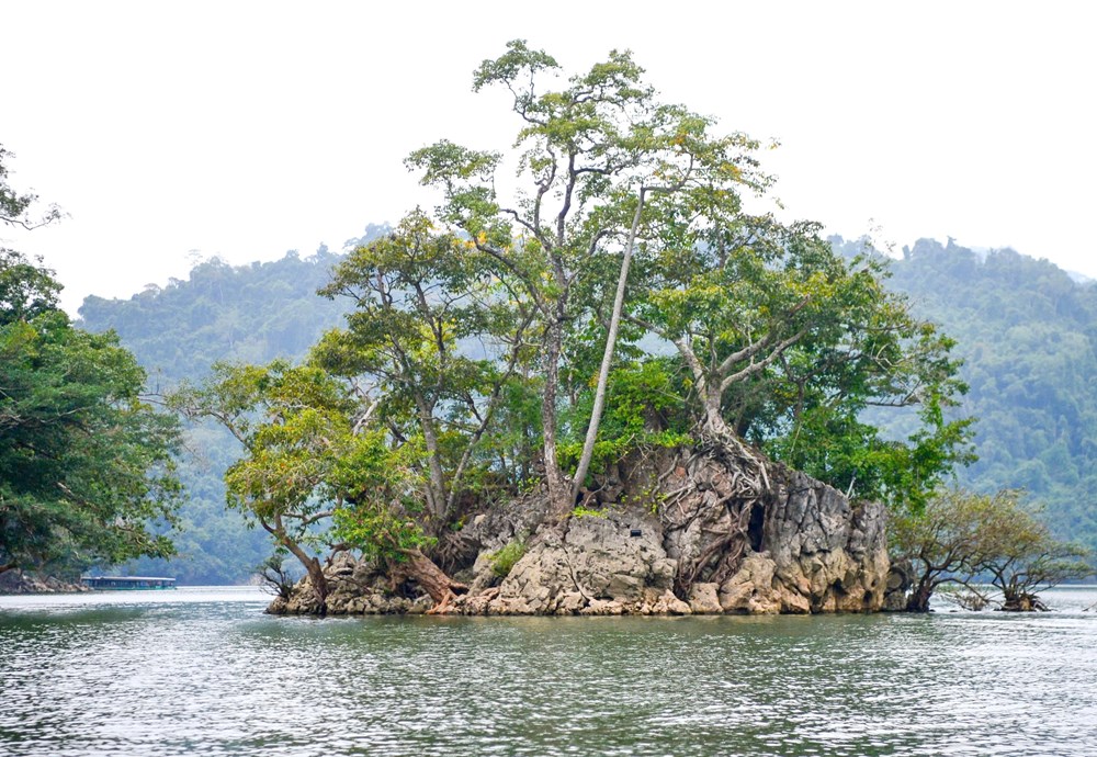 Khi di sản là “chìa khóa” mở cánh cửa thịnh vượng - ảnh 1