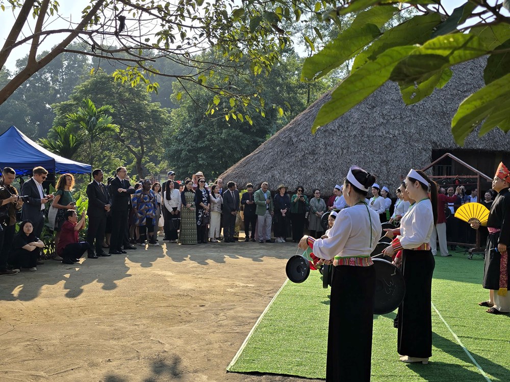 Cục Văn hóa các dân tộc Việt Nam “vượt vũ môn” năm 2025 - ảnh 10