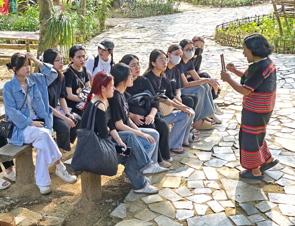 Cục Văn hóa các dân tộc Việt Nam “vượt vũ môn” năm 2025 - ảnh 7