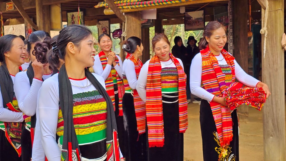 Cục Văn hóa các dân tộc Việt Nam “vượt vũ môn” năm 2025 - ảnh 8