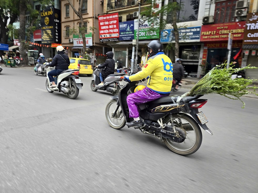 Tết đã “khẽ” về trên những sắc hoa - ảnh 19