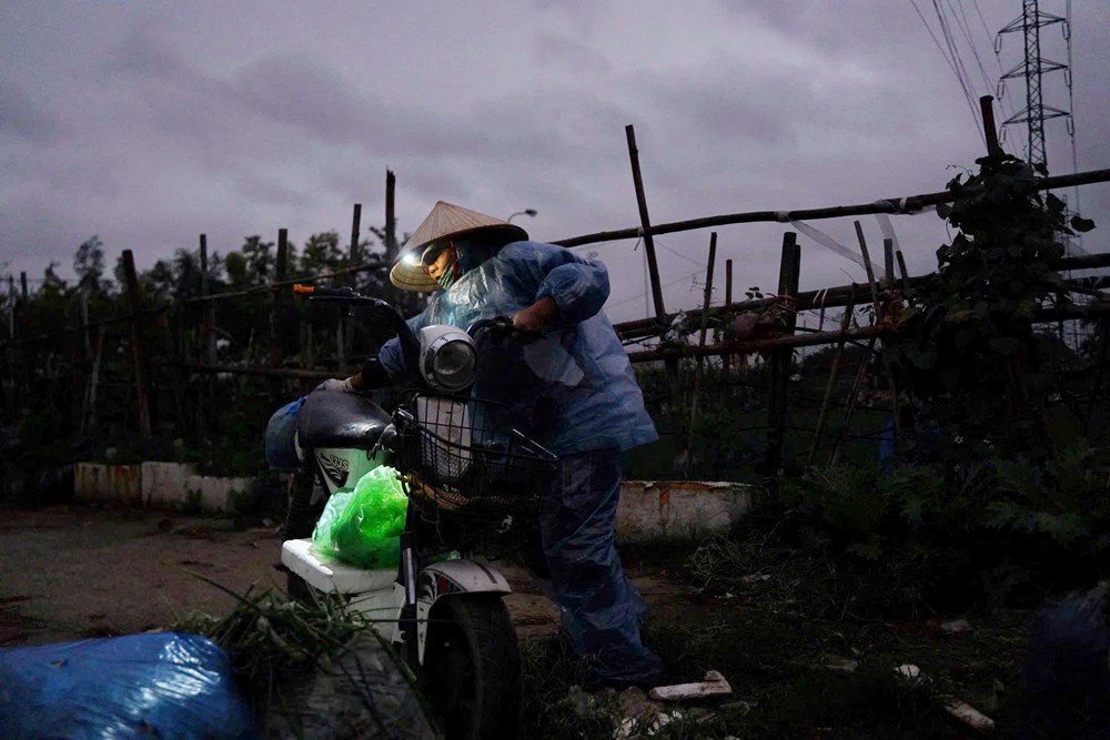 Tết đã “khẽ” về trên những sắc hoa - ảnh 10