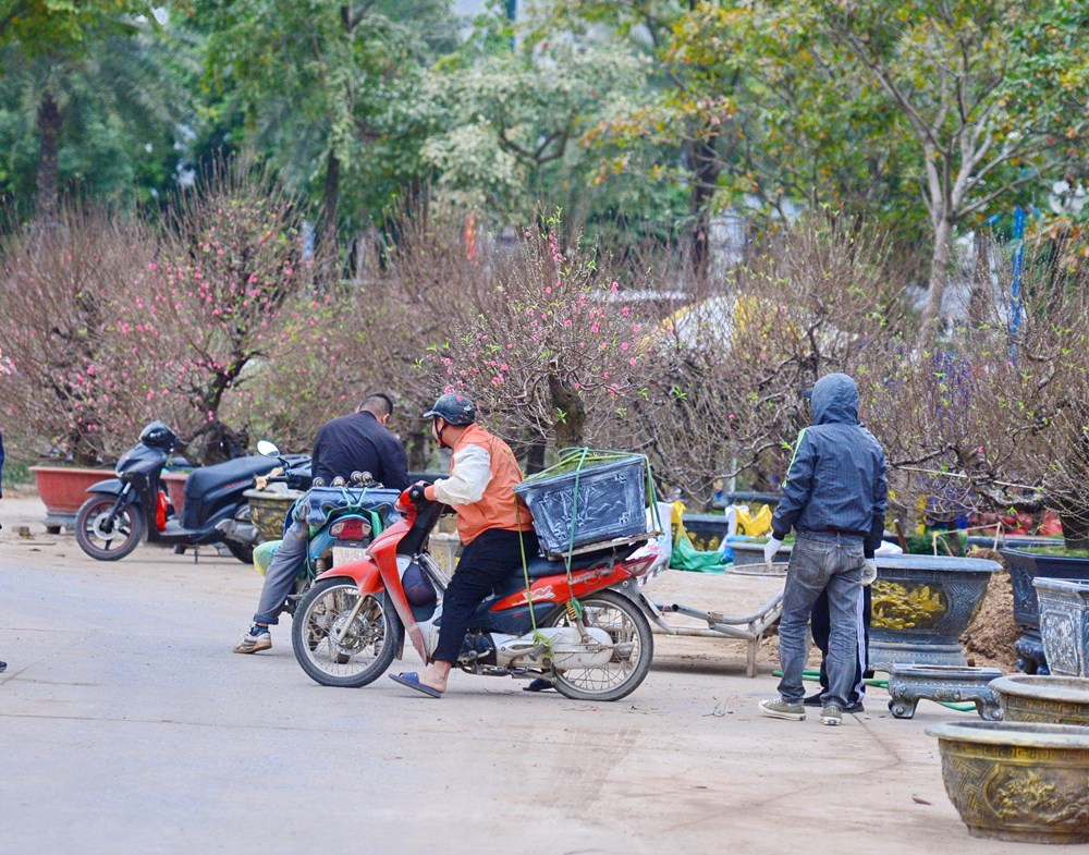 Tết đã “khẽ” về trên những sắc hoa - ảnh 17