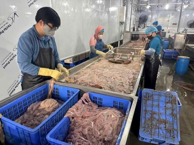 Phát hiện 59 tấn lòng lợn bốc mùi hôi thối chuẩn bị tuồn ra thị trường - ảnh 1