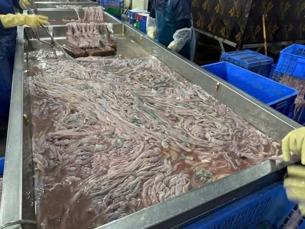 Phát hiện 59 tấn lòng lợn bốc mùi hôi thối chuẩn bị tuồn ra thị trường - ảnh 2