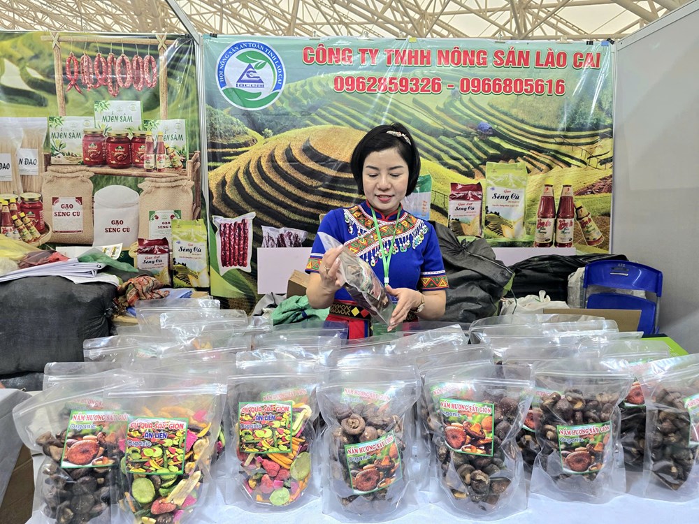 Hội chợ Mùa Xuân 2026: Nơi đặc sản núi rừng vươn tầm quốc tế - ảnh 2