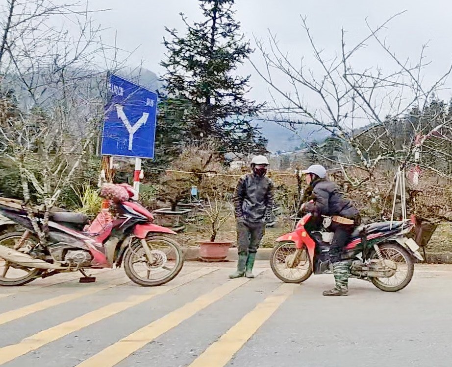 Chợ hoa đào nơi sườn đèo Ô Quy Hồ - ảnh 2