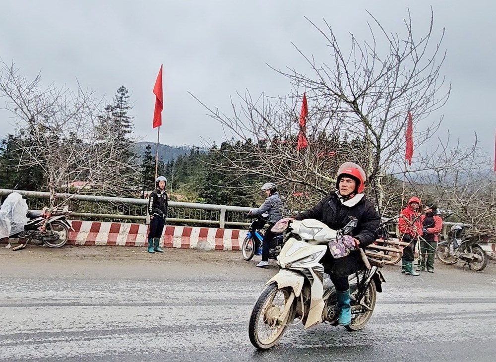 Chợ hoa đào nơi sườn đèo Ô Quy Hồ - ảnh 5