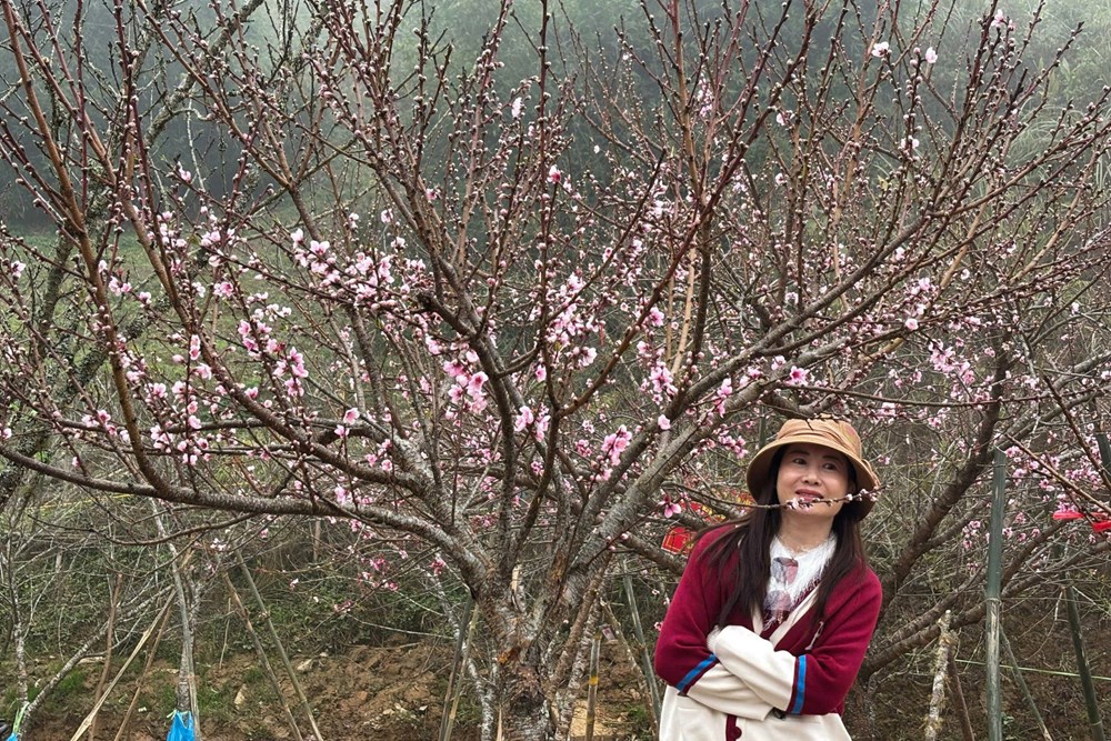 Chợ hoa đào nơi sườn đèo Ô Quy Hồ - ảnh 6