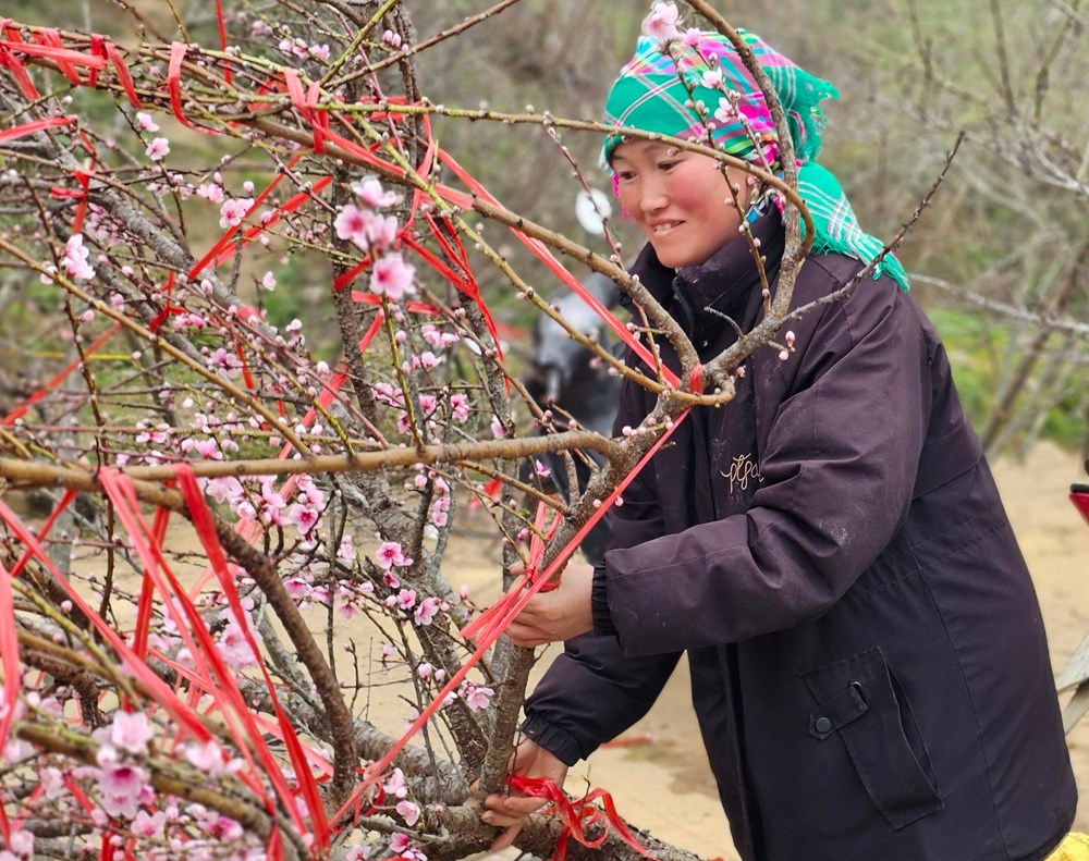Chợ hoa đào nơi sườn đèo Ô Quy Hồ - ảnh 4