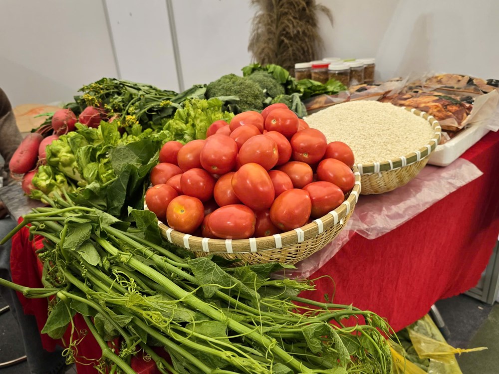 Hội chợ Mùa Xuân 2026: Doanh nghiệp “hái quả ngọt” doanh thu từ nông sản Việt - ảnh 8