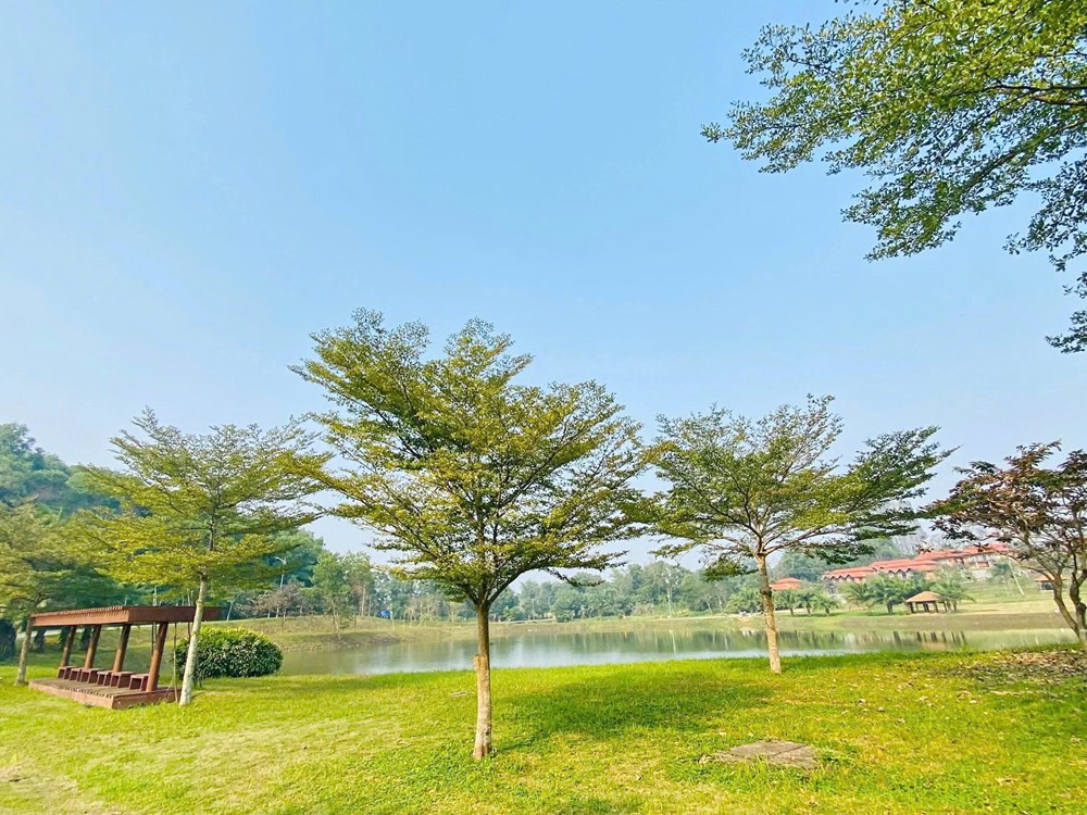 Điểm du xuân đẹp nao lòng chỉ cách Hà Nội 40 km  - ảnh 4