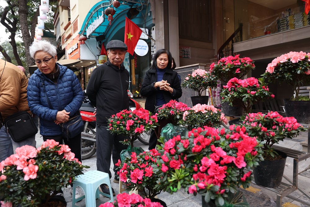 “Sống chậm” ở chợ hoa Hàng Lược  - ảnh 8